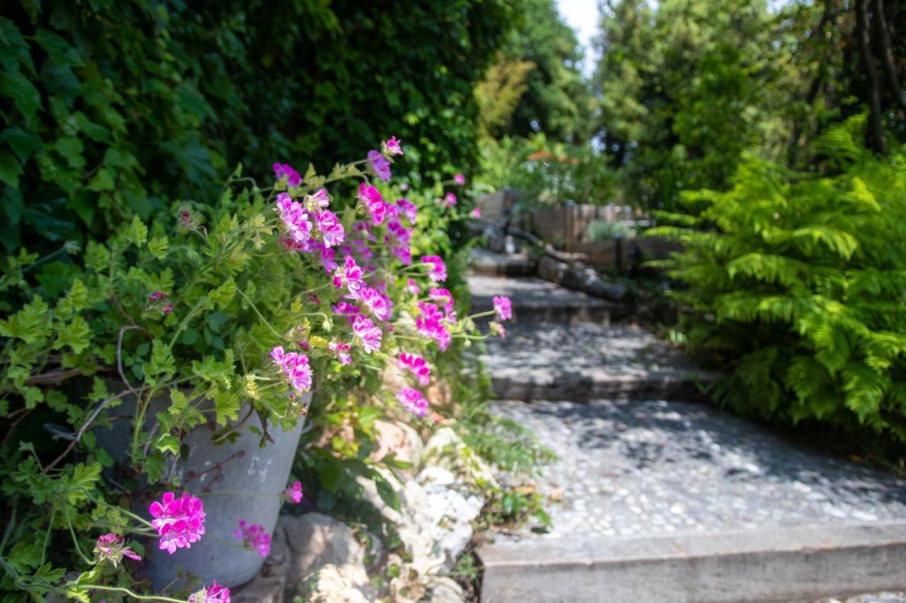 Bed and Breakfast Le Mazet De Tourrettes Esterno foto