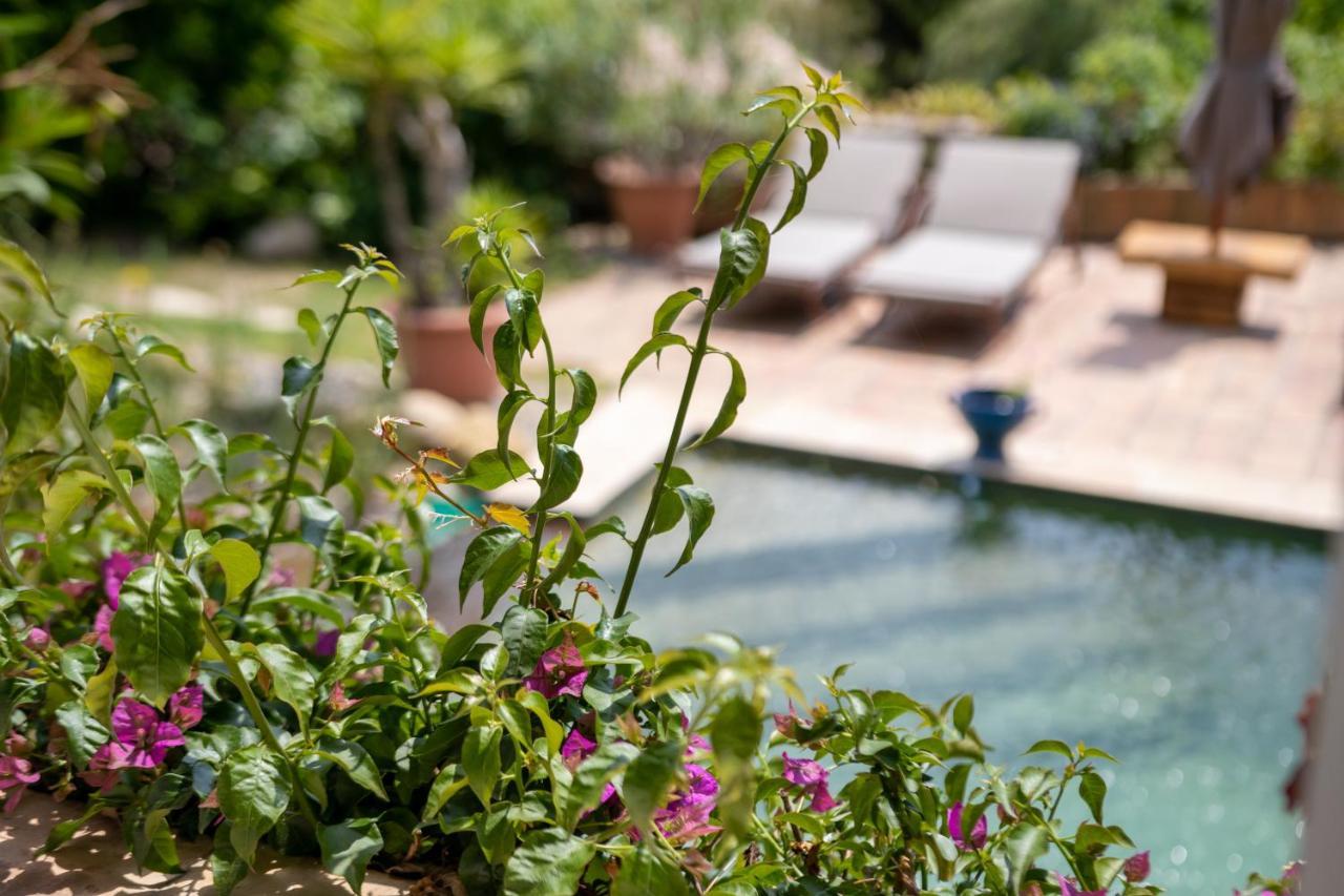 Bed and Breakfast Le Mazet De Tourrettes Esterno foto