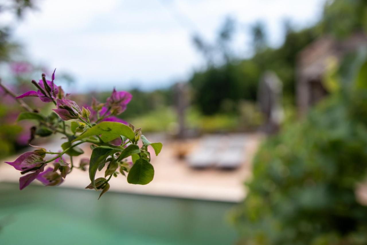 Bed and Breakfast Le Mazet De Tourrettes Esterno foto
